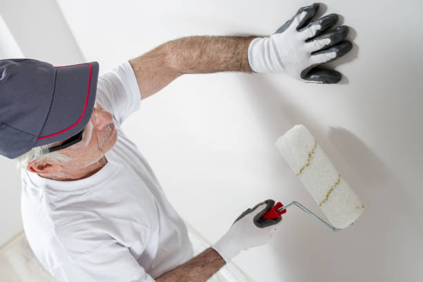 Mold Odor Removal Services in Lake Providence, LA