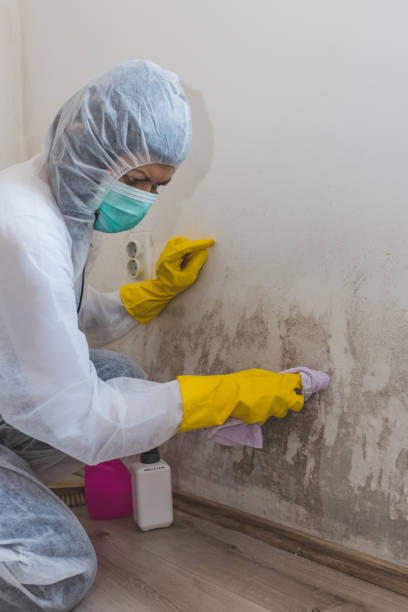 Best Dehumidification Services  in Ke Providence, LA