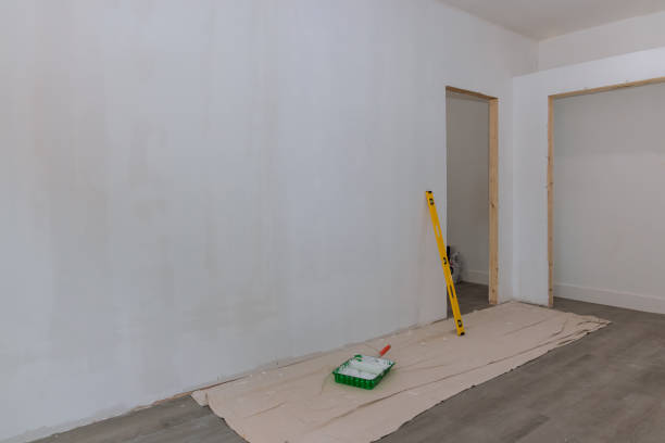 Best Asbestos and Lead Testing During Mold Inspection  in Ke Providence, LA