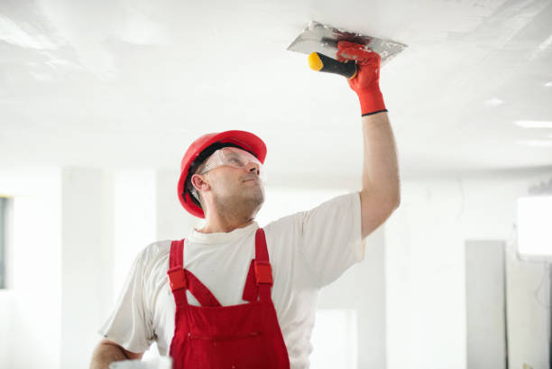 Best Industrial Mold Remediation  in Ke Providence, LA