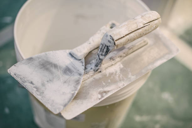Best Forensic Mold Investigation  in Ke Providence, LA