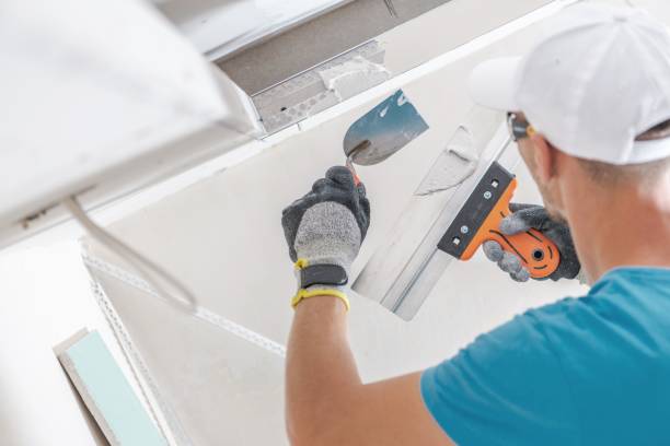 Best Real Estate Mold Inspection  in Ke Providence, LA